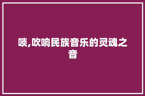 唢,吹响民族音乐的灵魂之音