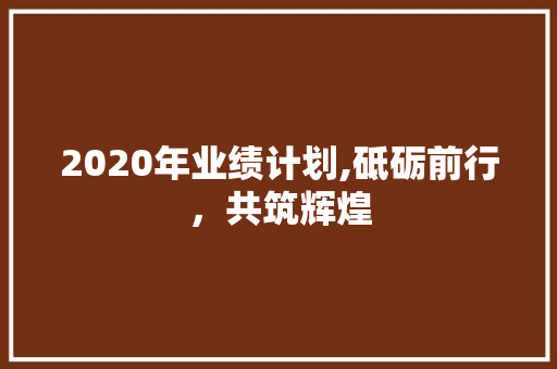 2020年业绩计划,砥砺前行，共筑辉煌