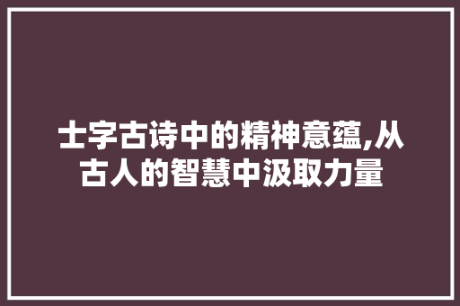 士字古诗中的精神意蕴,从古人的智慧中汲取力量