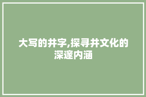 大写的井字,探寻井文化的深邃内涵