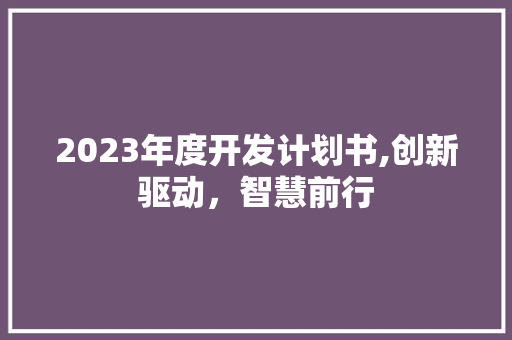 2023年度开发计划书,创新驱动，智慧前行