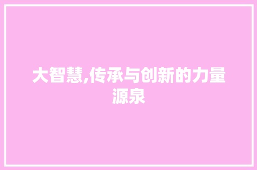 大智慧,传承与创新的力量源泉