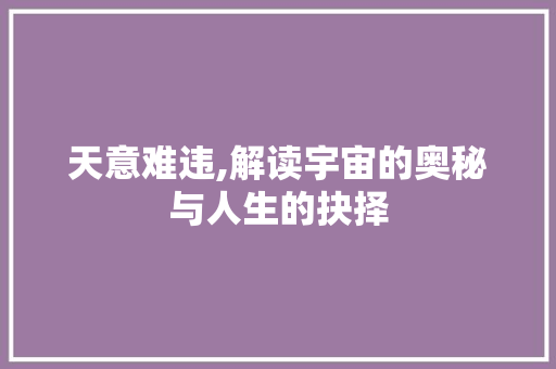 天意难违,解读宇宙的奥秘与人生的抉择