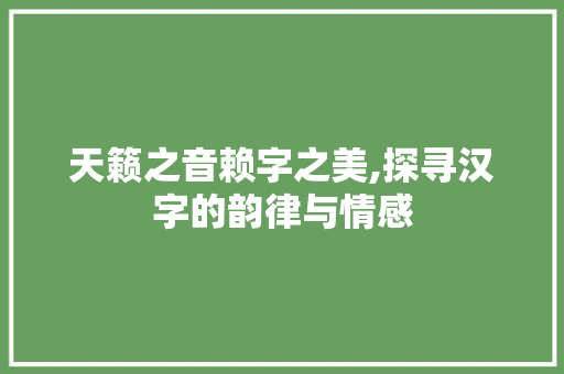 天籁之音赖字之美,探寻汉字的韵律与情感