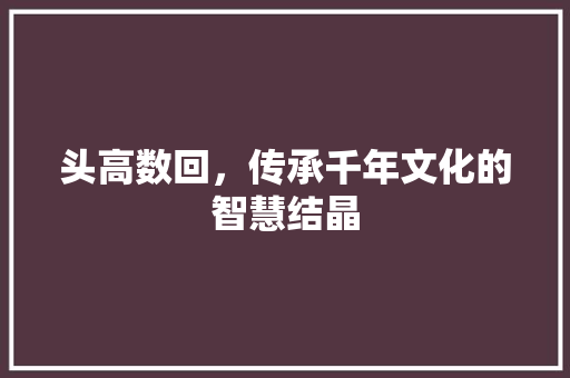 头高数回，传承千年文化的智慧结晶