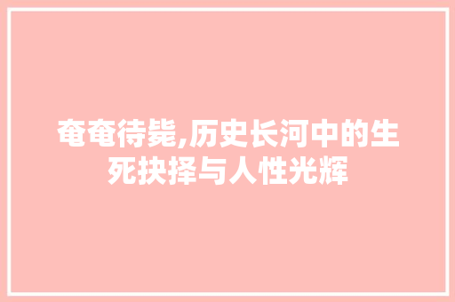 奄奄待毙,历史长河中的生死抉择与人性光辉