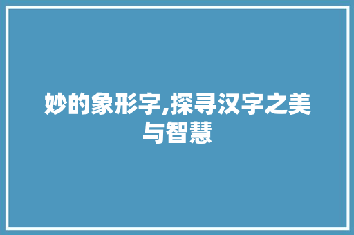 妙的象形字,探寻汉字之美与智慧