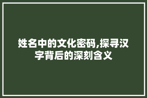姓名中的文化密码,探寻汉字背后的深刻含义