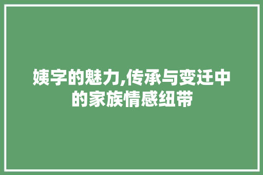 姨字的魅力,传承与变迁中的家族情感纽带