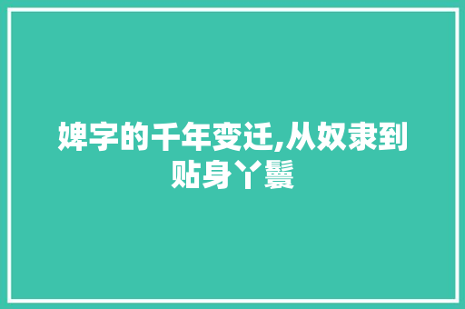 婢字的千年变迁,从奴隶到贴身丫鬟