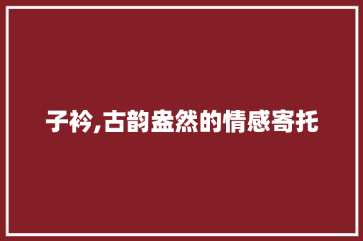 子衿,古韵盎然的情感寄托