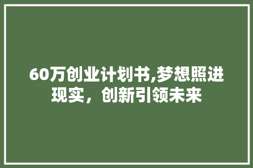 60万创业计划书,梦想照进现实，创新引领未来