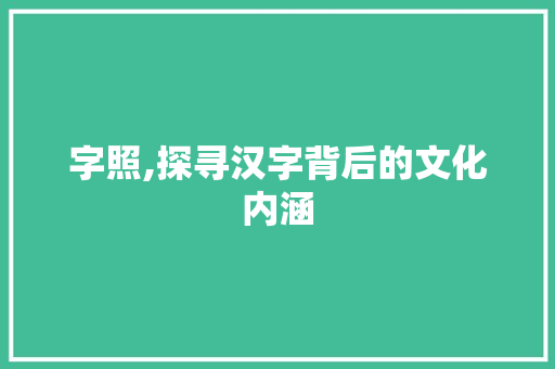 字照,探寻汉字背后的文化内涵