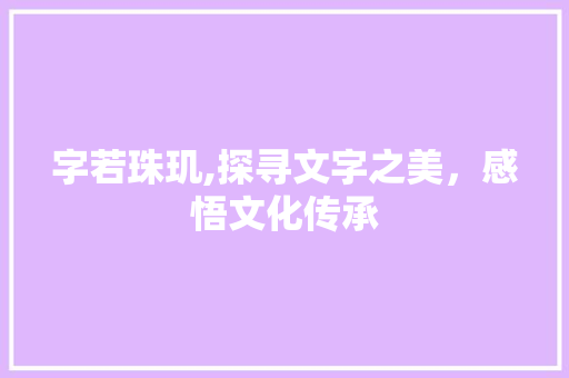 字若珠玑,探寻文字之美，感悟文化传承