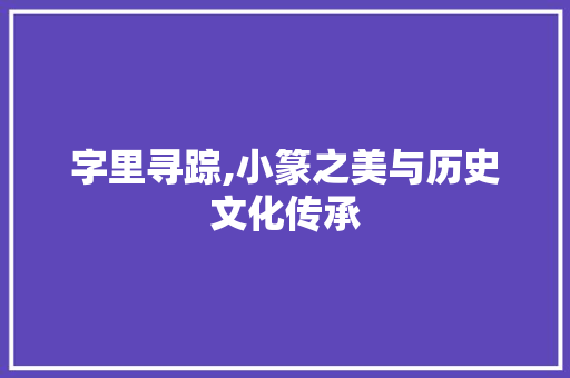 字里寻踪,小篆之美与历史文化传承