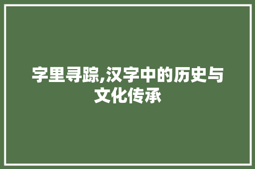 字里寻踪,汉字中的历史与文化传承