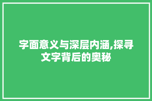 字面意义与深层内涵,探寻文字背后的奥秘