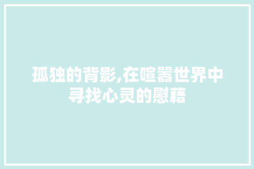 孤独的背影,在喧嚣世界中寻找心灵的慰藉