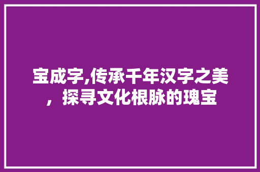宝成字,传承千年汉字之美，探寻文化根脉的瑰宝