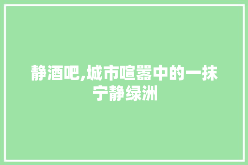 静酒吧,城市喧嚣中的一抹宁静绿洲