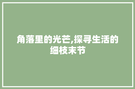 角落里的光芒,探寻生活的细枝末节