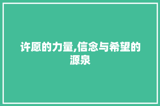 许愿的力量,信念与希望的源泉