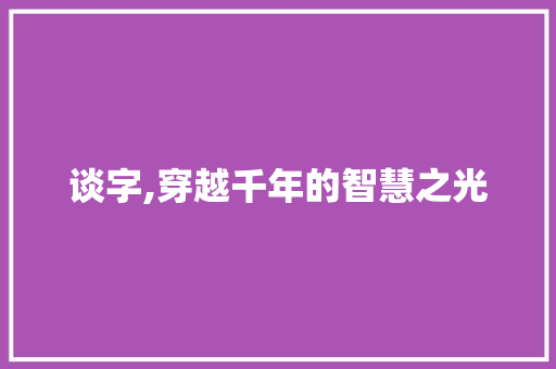 谈字,穿越千年的智慧之光