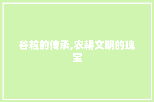 谷粒的传承,农耕文明的瑰宝 生活感悟