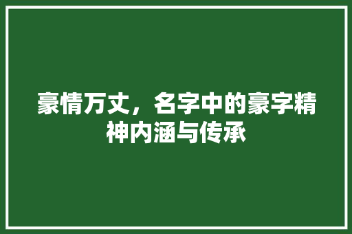 豪情万丈，名字中的豪字精神内涵与传承