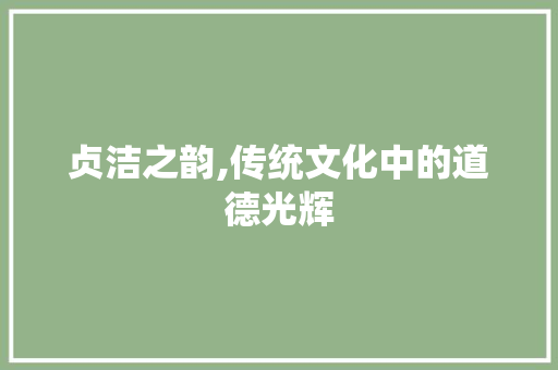 贞洁之韵,传统文化中的道德光辉