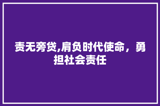 责无旁贷,肩负时代使命，勇担社会责任 工作类