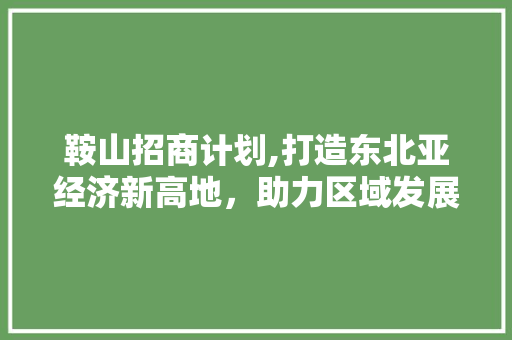 鞍山招商计划,打造东北亚经济新高地，助力区域发展新篇章