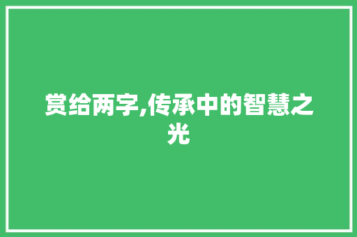 赏给两字,传承中的智慧之光