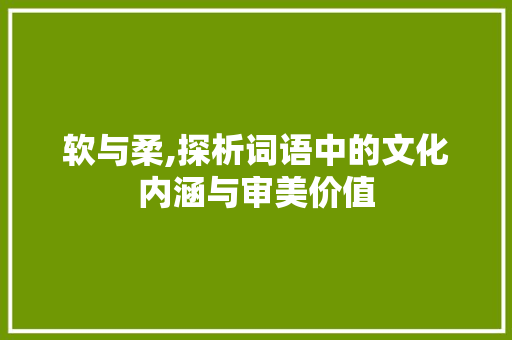 软与柔,探析词语中的文化内涵与审美价值