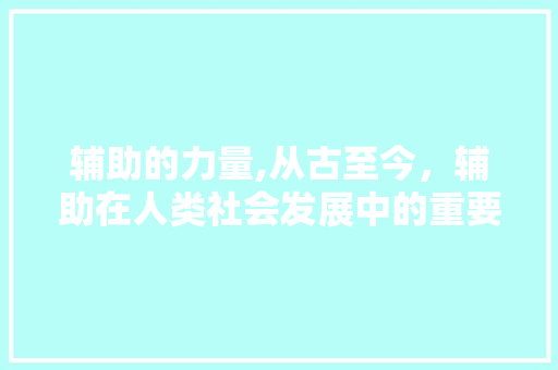 辅助的力量,从古至今，辅助在人类社会发展中的重要作用