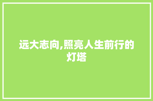 远大志向,照亮人生前行的灯塔