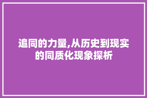 追同的力量,从历史到现实的同质化现象探析