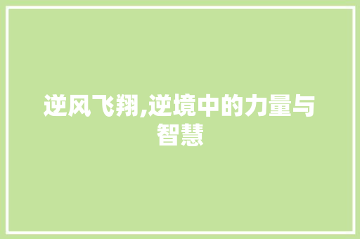 逆风飞翔,逆境中的力量与智慧