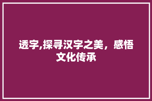 透字,探寻汉字之美，感悟文化传承