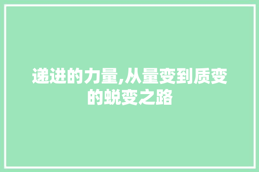 递进的力量,从量变到质变的蜕变之路