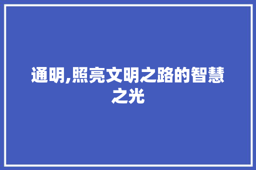 通明,照亮文明之路的智慧之光