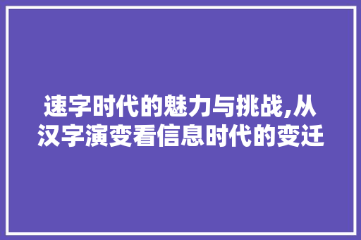 速字时代的魅力与挑战,从汉字演变看信息时代的变迁