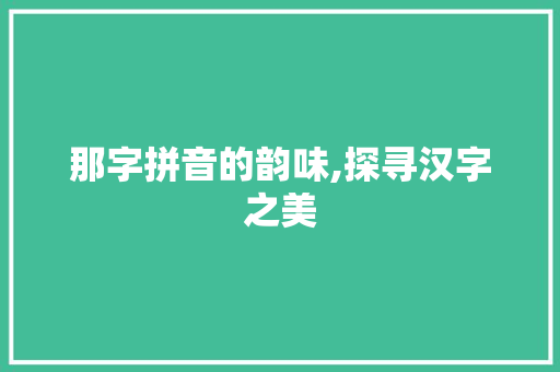 那字拼音的韵味,探寻汉字之美