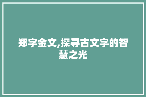 郑字金文,探寻古文字的智慧之光