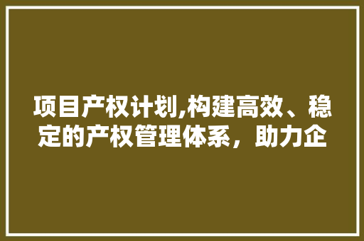 项目产权计划,构建高效、稳定的产权管理体系，助力企业发展