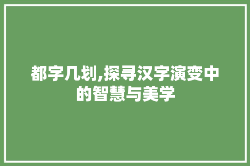 都字几划,探寻汉字演变中的智慧与美学