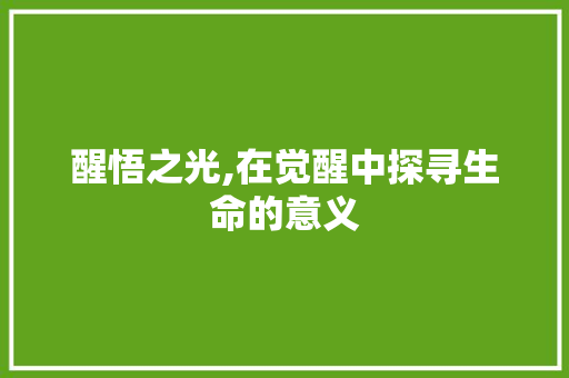 醒悟之光,在觉醒中探寻生命的意义