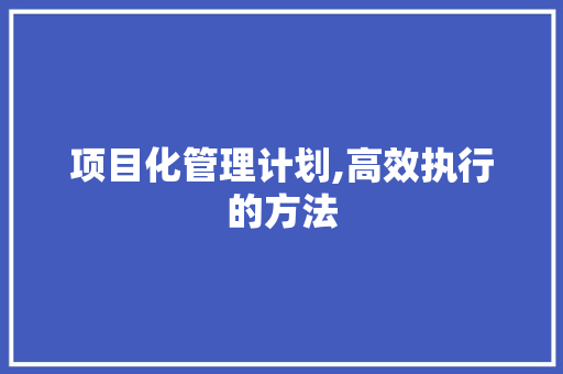项目化管理计划,高效执行的方法