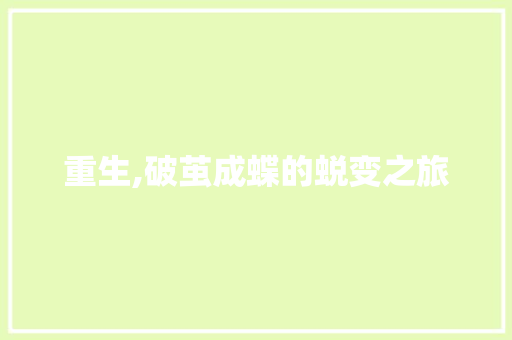 重生,破茧成蝶的蜕变之旅