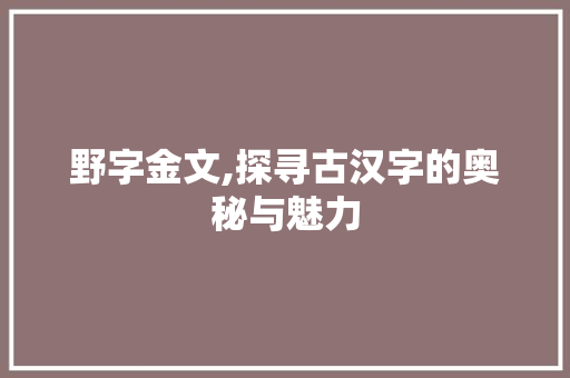 野字金文,探寻古汉字的奥秘与魅力